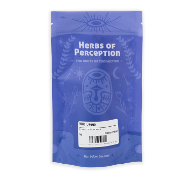 Wild Dagga Leonotis leonurus