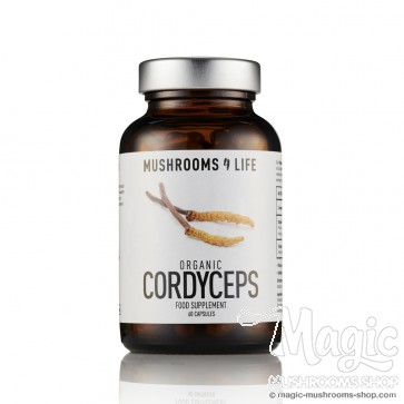  Cordyceps Mushroom Supplement Capsules | Mushrooms4life