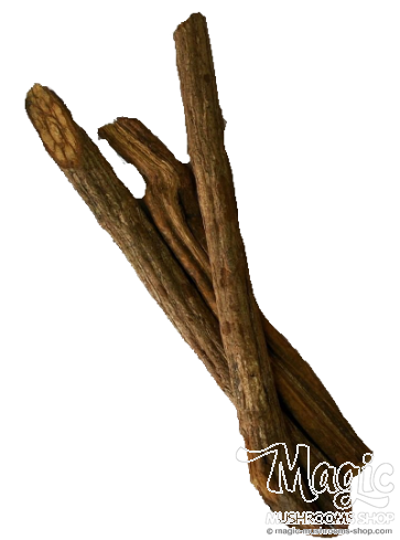 Banisteriopsis Caapi Geel Trueno | Gemalen