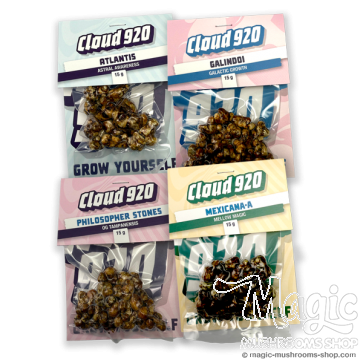 Magic Truffles Value Pack Standard