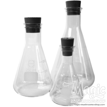 Erlenmeyer Flasks with rubber bung