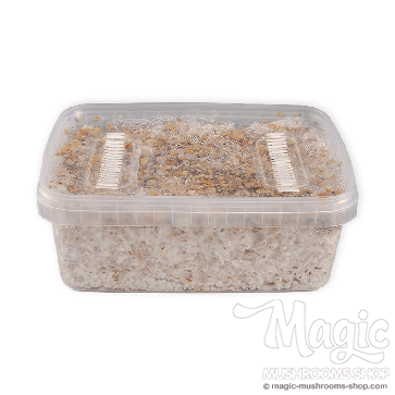 GetMagic Magic Mushroom grow kit XL