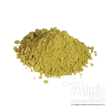 Damiana | Turnera Diffusa Powder