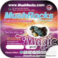 Psilocybe Galindoi Magic Truffles