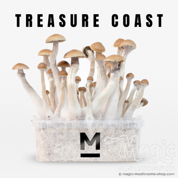 Flush of Treasure Coast