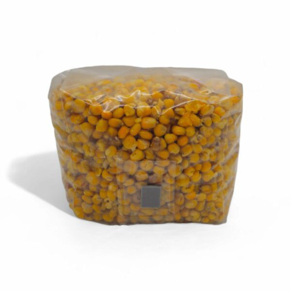 Mushroom Substrate Kit Large 