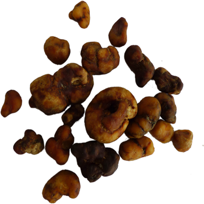 Truffels Atlantis Truffels Atlantis