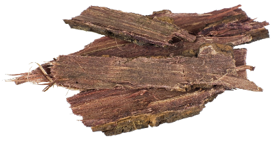 Mimosa hostilis  Rootbark 