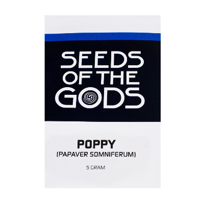 Poppy | Papaver Somniferum