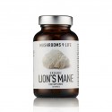 Lion's Mane Hericium erinaceus Capsules | Mushrooms4life