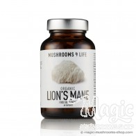 Lion's Mane Hericium erinaceus Capsules | Mushrooms4life