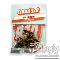 Hollandia truffels | 15 gram