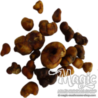 Atlantis truffels | 15 gram