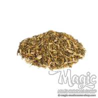 Sint Janskruid / St. John's Wort | Hypericum perforatum 