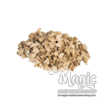 Kalmoes | Acorus calamus 