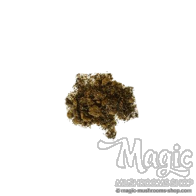 Mexicaanse Dragon | Tagetes Lucida | Extract 10x