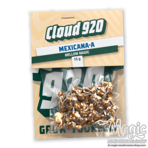 Magic Truffles Mexicana