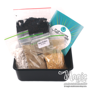 San Pedro Cactus Grow Kit San Pedro Cactus Grow Kit