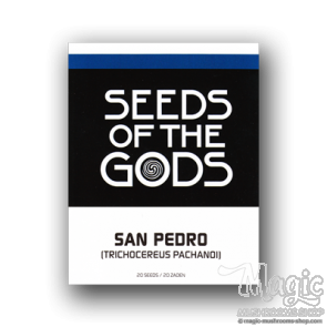 San Pedro Cactus | 20 seeds San Pedro Cactus | 20 seeds