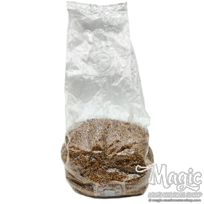 Sterile Millet Spawn Bag 