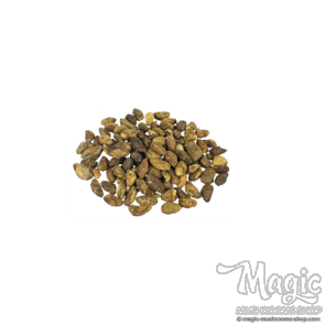 Voacanga Africana seeds  Voacanga Africana seeds