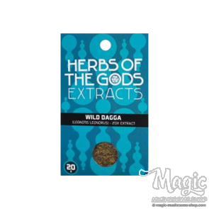 Wild Dagga | Leonotis Leonorus Extract 20x Wild Dagga | Leonotis Leonorus Extract 20x