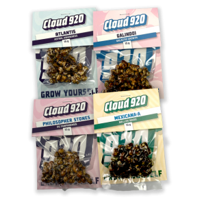 Magic Truffles Value Pack Standard