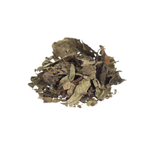 Catuaba, Erythroxylum Catuaba