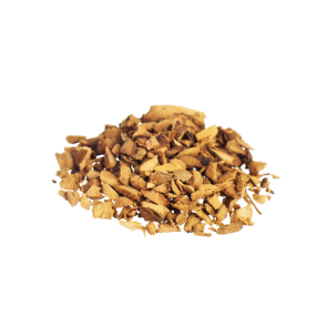 Galangal | Alpinia officinarum raw