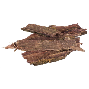 Mimosa hostilis  Rootbark 