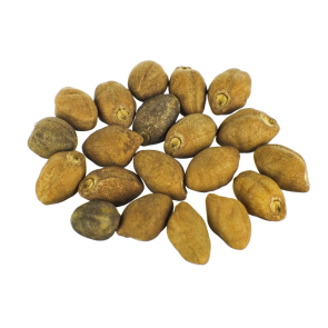 hawaiian baby woodrose seeds