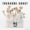 Photo Mondo Paddo Kweekset Treasure Coast