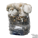 Jack Frost Cloud920® XL Ready-to-grow bag