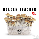 Mondo Paddo Kweekset Golden Teacher XL