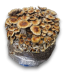 Mexican Psilocybe cubensis