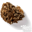 Biologische Maitake Grifola frondosa Mushrooms4life | hen of the woods mushroom