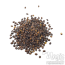 Catmint (Nepeta cataria) zaden