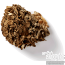 Biologische Maitake Grifola frondosa Mushrooms4life | hen of the woods mushroom