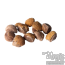 hawaiian baby woodrose seeds