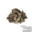 Chacruna | Psychotria viridis Blad
