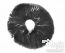 Spore print