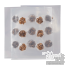 Microdoseren van Magic Truffels