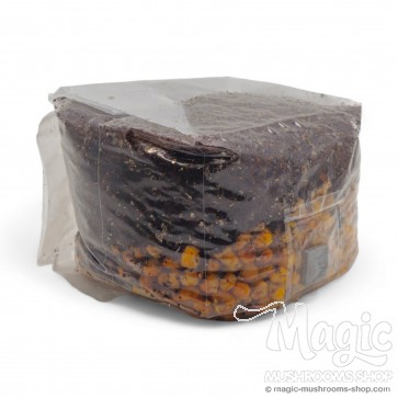 All-in-one Mushroom Grow Bag All-in-one Mushroom Grow Bag