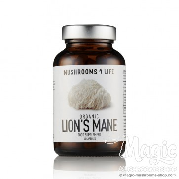  Lion’s Mane Hericium erinaceus Capsules 