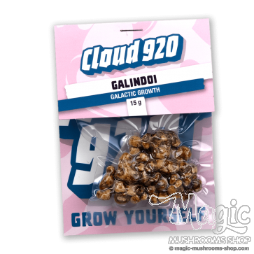 Psilocybe Galindoi Magic Truffles