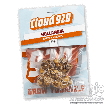 Magic Truffles Hollandia