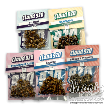 Magic Truffles Value Pack - Discount offer