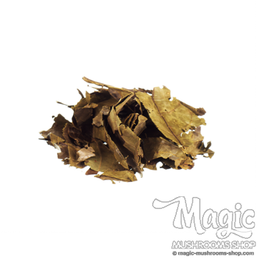 Chaliponga Diplopterys cabrerana  Chaliponga Diplopterys cabrerana