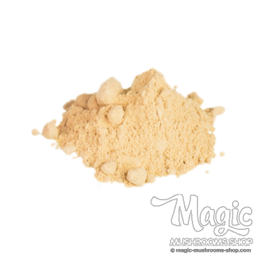Maca | Lepidum Meyenii Raw Maca | Lepidum Meyenii Raw
