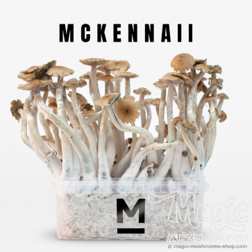 Flush of McKennaii Flush of McKennaii